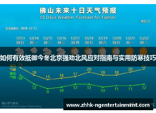 如何有效抵御今冬北京强劲北风应对指南与实用防寒技巧