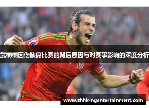 武桐桐因伤缺席比赛的背后原因与对赛事影响的深度分析