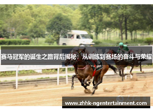 赛马冠军的诞生之路背后揭秘：从训练到赛场的奋斗与荣耀