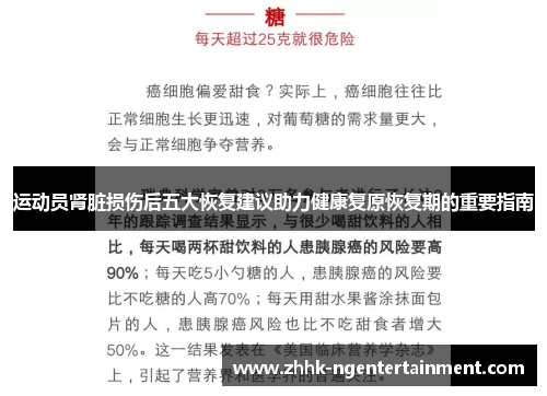 运动员肾脏损伤后五大恢复建议助力健康复原恢复期的重要指南