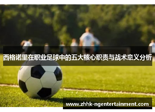 西格诺里在职业足球中的五大核心职责与战术意义分析