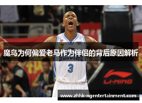 魔鸟为何偏爱老马作为伴侣的背后原因解析